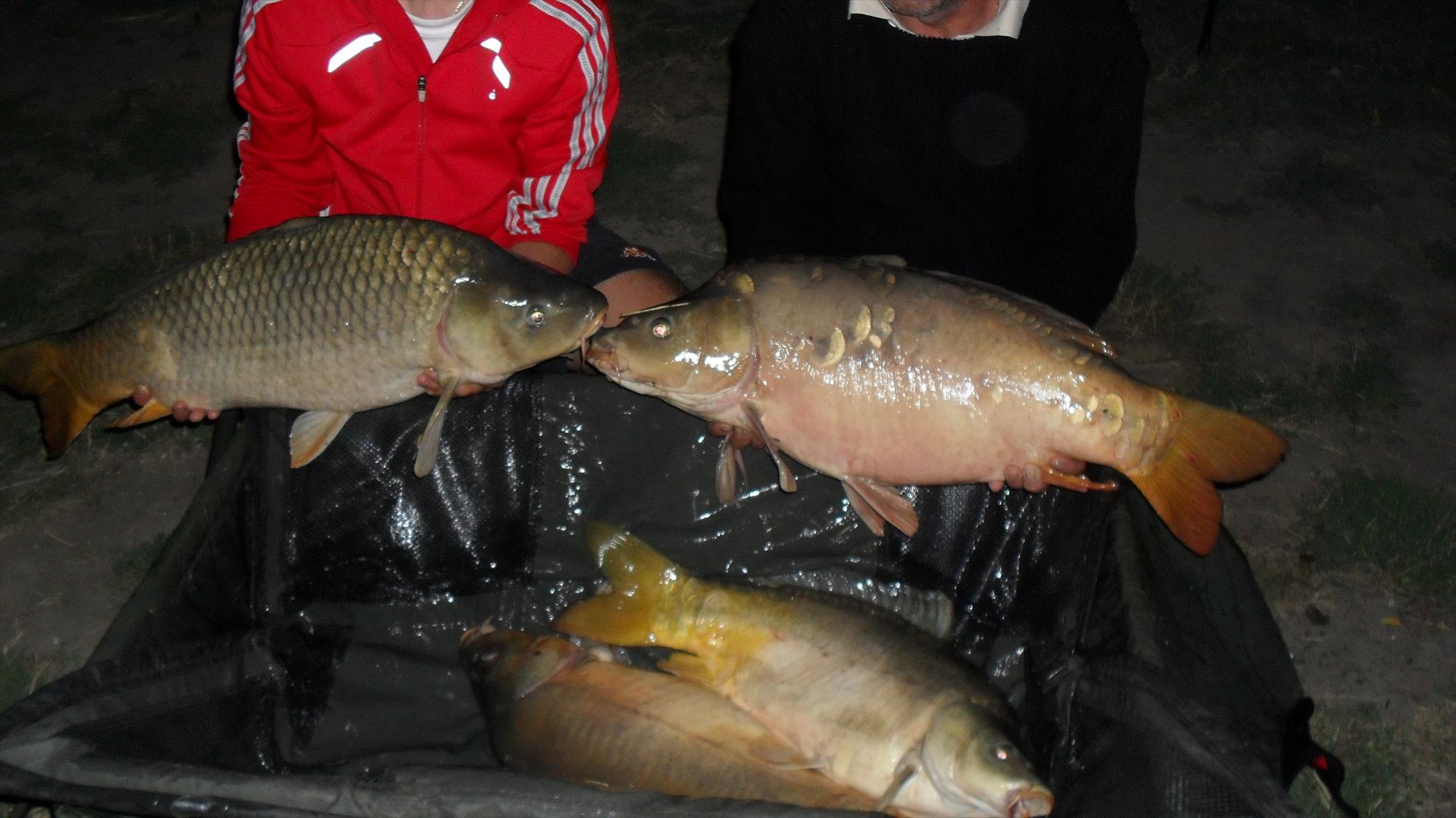 Ohat 3 8 - 11 aug. - sdc11860.JPG